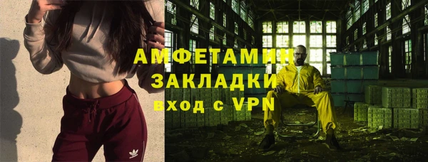 спиды Богданович